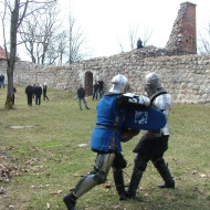 Masinės kautynės 2012 Trakuose